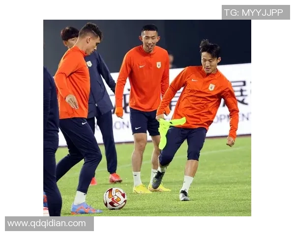 体育实时数据武汉排球队转型之路：从传统强队到现代化竞技的全新探索与挑战