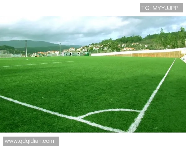 体育实时数据足球新手必看耐力训练入门指南助你轻松提升场上表现